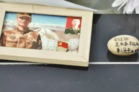 别再打扰“鹅卵石”的主人了图片