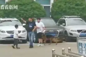 54只淘汰警犬半天被抢光！最高价33万元！新主人：超预算也值图片