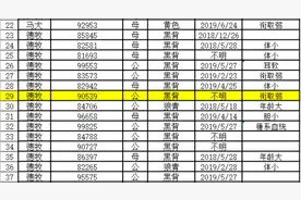 最高价33万元！警校54只淘汰犬半天被抢光……网友贴心地提了一个要求图片