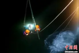 浙江临海救护瓜头鲸后续：5头死亡 6头放生 1头救治图片