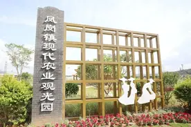 先睹为快！凤岗镇现代农业观光园即将完工图片