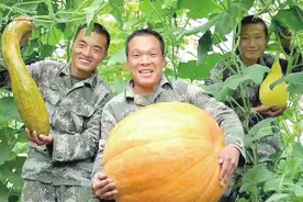 聊城退役军人相国军——在北极哨所种出满棚蔬菜瓜果图片