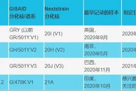 阿尔法、贝塔、伽马、德尔塔……还没完没了了？图片