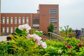 2021年暑期师德师风培训活动——立德树人铸师魂 不忘初心记使命专题图片