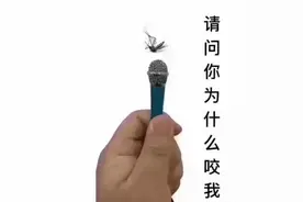 天气炎热，一大波蚊子来袭！专家：小心登革热图片