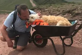 男子用手推车推病危爱犬上山 进行“最后一次探险”图片