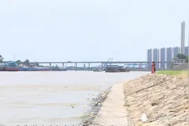 男子遛狗时被爱宠拽下江后死亡？警方：已找到尸体，排除他杀图片