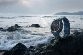 黄汪：黄山新一代智能穿戴芯片还有双核架构图片