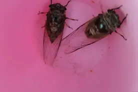 男人与女人图片