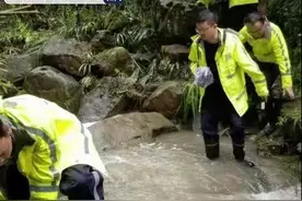 50小时！重庆奉节警方组织乡亲冒雨搜山 7岁采菌失踪男童被找回图片