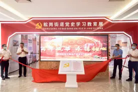 松岗街道：打造特色党史学习教育展“实践+理论”双落实图片