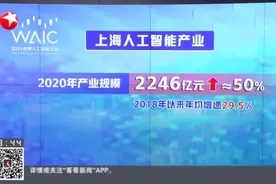 中国人工智能创新指数升至全球第二  仅次于美国视频封面