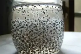 食品安全宣传周｜“网红食品”奇亚籽真的能减肥是真的吗？图片