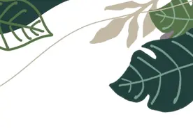 夏日出行企划｜一些超实用的暑假旅行TIPS图片