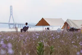 林生斌回应网友6大质疑：没出轨，与现任妻子是意外怀孕；尊敬岳母岳父，剩余的赔偿金都给了他们图片