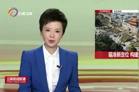 大理：瞄准新定位 构建新格局 打造名副其实的历史文化名城、国际旅游名城图片
