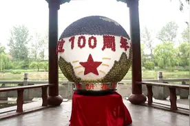 近万朵“煎饼花”制成“锦绣球”临沂蒙阴煎饼大嫂把传统煎饼玩出“花”图片