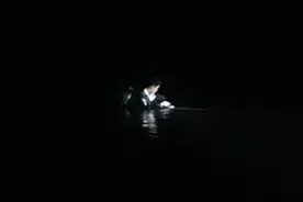 悲剧！38岁男子受雇下柳江水库捞无人机，再也没上来...图片