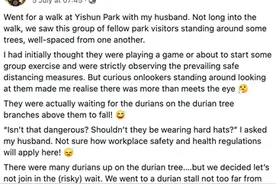 守株待“榴梿”的新加坡人，为了吃上这口真不容易图片