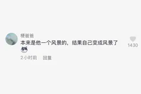 哭笑不得！男子头卡树杈里！网友：“拍照把自己拍成了风景”图片