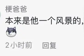 哭笑不得！男子头卡树杈里！网友：“拍照把自己拍成了风景”图片