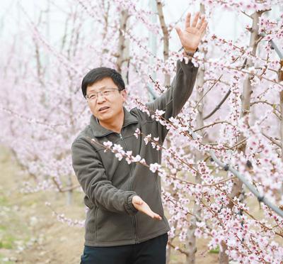 杨良杰推广果业技术，带动40万户果农增收 这个农技二传手，果农喜欢（人物故事·聚焦乡村创业）
