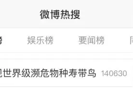 高颜值“吉祥鸟”冲上热搜！新物种、新记录不断发现！浙江天上奇异“小伙伴”越来越多……图片