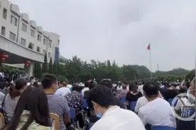 54只淘汰犬竞价认养最高拍出33万，中国刑警学院：收益全部上缴国家财政图片