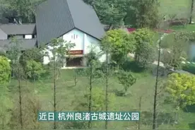 如何高水平推进良渚遗址保护研究传承利用？学者大咖们这样说视频封面