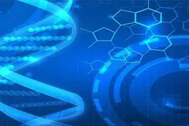 “醉”译献 | 围术期器官损伤的疾病机制图片