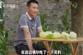 连皮到籽都能吃的“冰淇淋”小香瓜“匠心农人”复原儿时味道图片