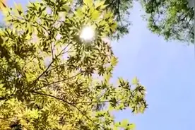 我国今年夏天会出现罕见高温吗？视频封面