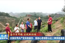 全国优秀共产党员｜张淑珍：用初心带领群众走上种茶致富路图片