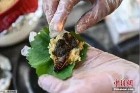 小龙虾在日本能当宠物养？中外民众对美食有不同理解图片