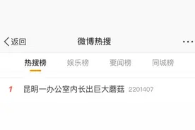 手边的蘑菇别乱采！野生蘑菇中毒风险地图来了，武汉这些地方要注意图片