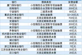 观债｜今年上半年银行发债8300亿元，永续债占近四成图片