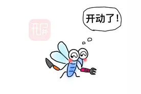 住到几楼才没有蚊子？知道真相的小编绝望了……图片