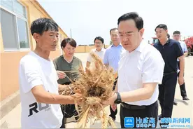 闫剑波到荣成市调研乡村振兴工作图片