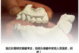 什么是人骨考古学？如何从骨骼中发现人类简史？图片