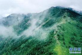 但看秦岭朱雀景 奇峰险秀乱石颜图片