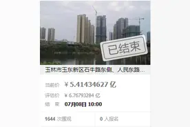 网友神预测！天元翡翠项目降了1.3亿元还是没人要图片