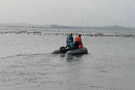 少女荒岛喊“救命”，原来是父母带其体验“荒岛求生”图片