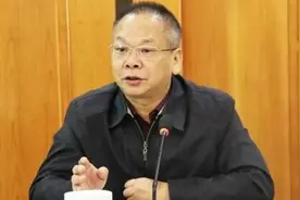 湖南衡阳市政协原主席廖炎秋接受审查调查图片