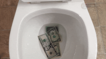 300元一次招人捐粪便冲上热搜！屎的价值你永远不懂图片