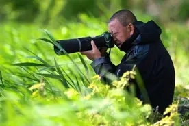 野生动物保护下的“民间力量”：成为“护而不扰”的捍卫者图片