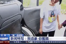 检测员：象群造成的损失国家赔。大妈：哈哈哈哈图片