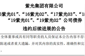 紫光集团被申请破产重整进审查阶段 旗下紫光国微市值昨日刚破千亿图片
