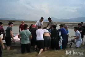 8小时大营救！浙江宁海两头搁浅海豚回归深海图片