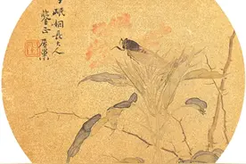 每日闲情图片
