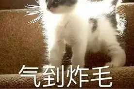 你再这样，我可报警了啊图片